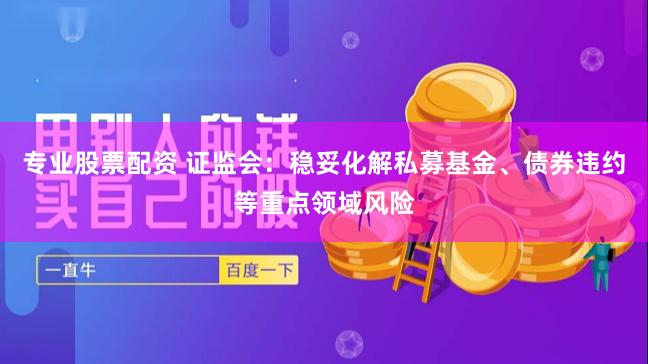 专业股票配资 证监会：稳妥化解私募基金、债券违约等重点领域风险