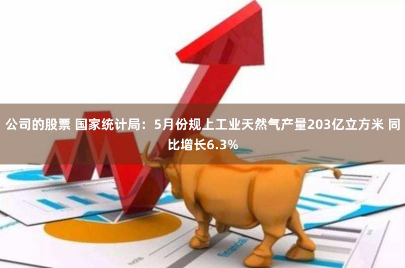 公司的股票 国家统计局：5月份规上工业天然气产量203亿立方米 同比增长6.3%