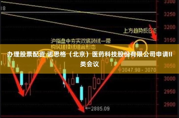 办理股票配资 诺思格（北京）医药科技股份有限公司申请II类会议